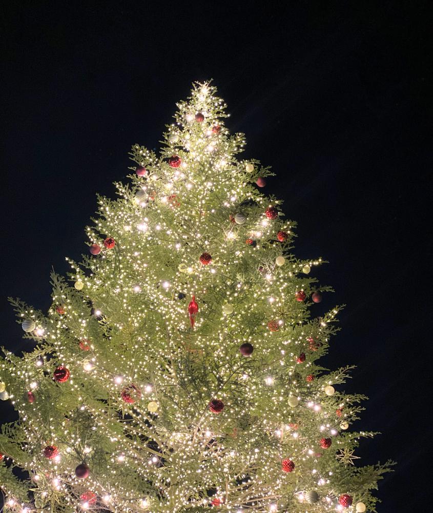 Tree Lighting Ceremony in Lakewood, WA